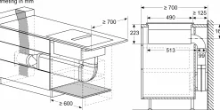 Serie 4 Inductiekookplaat met afzuiging 60 cm