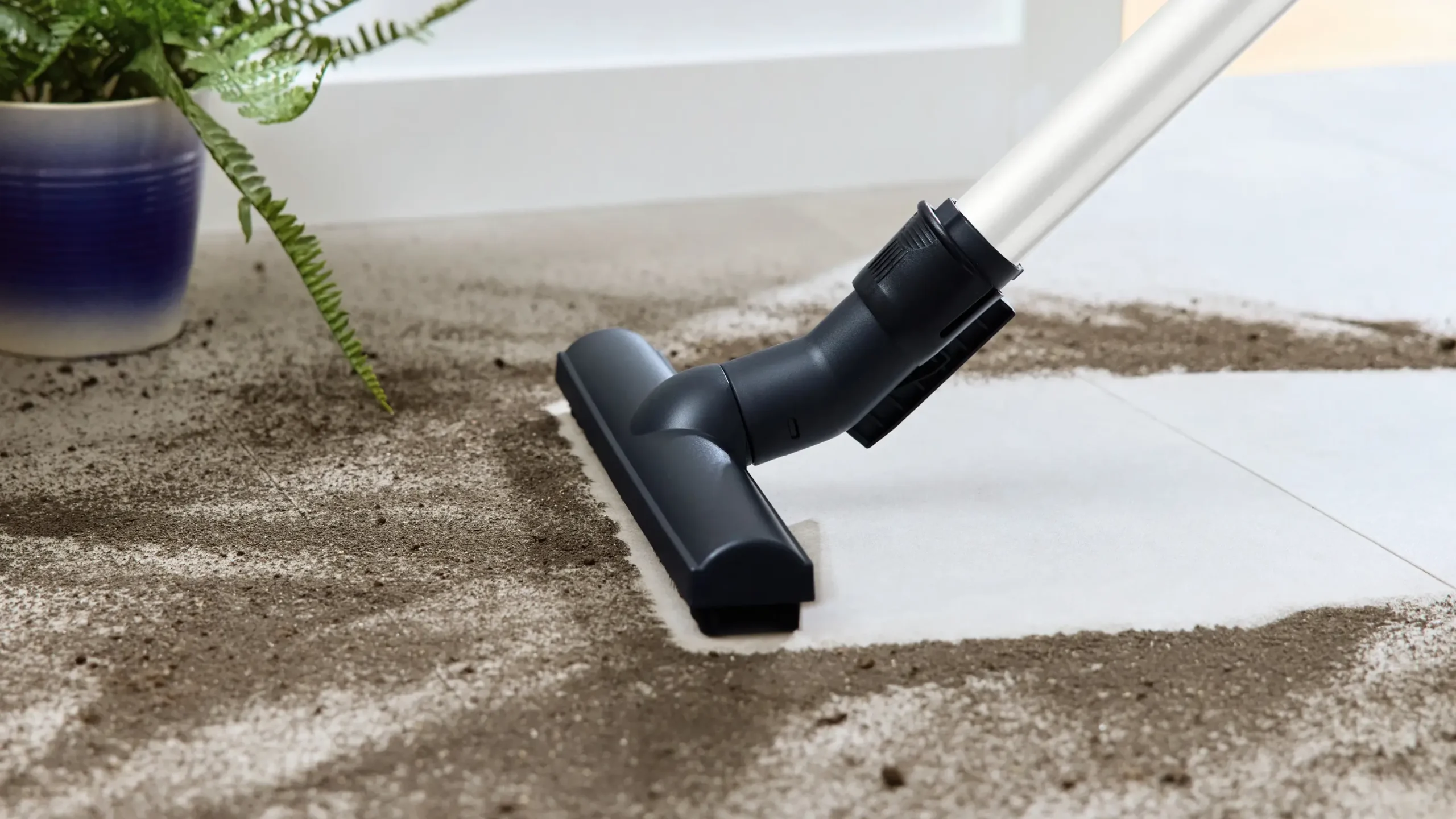Serie 6 Stofzuiger met zak ProHygienic Wit